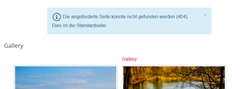 galleryfehler.png